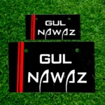Number Plate Walay Template -01_0000_Fulnawaz plate