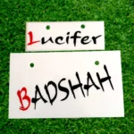 Number Plate Walay Template -01_0004_lucifer